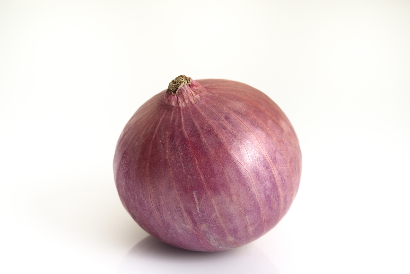 Oignon F1 QUARTZ Quartz PR et OTIMO